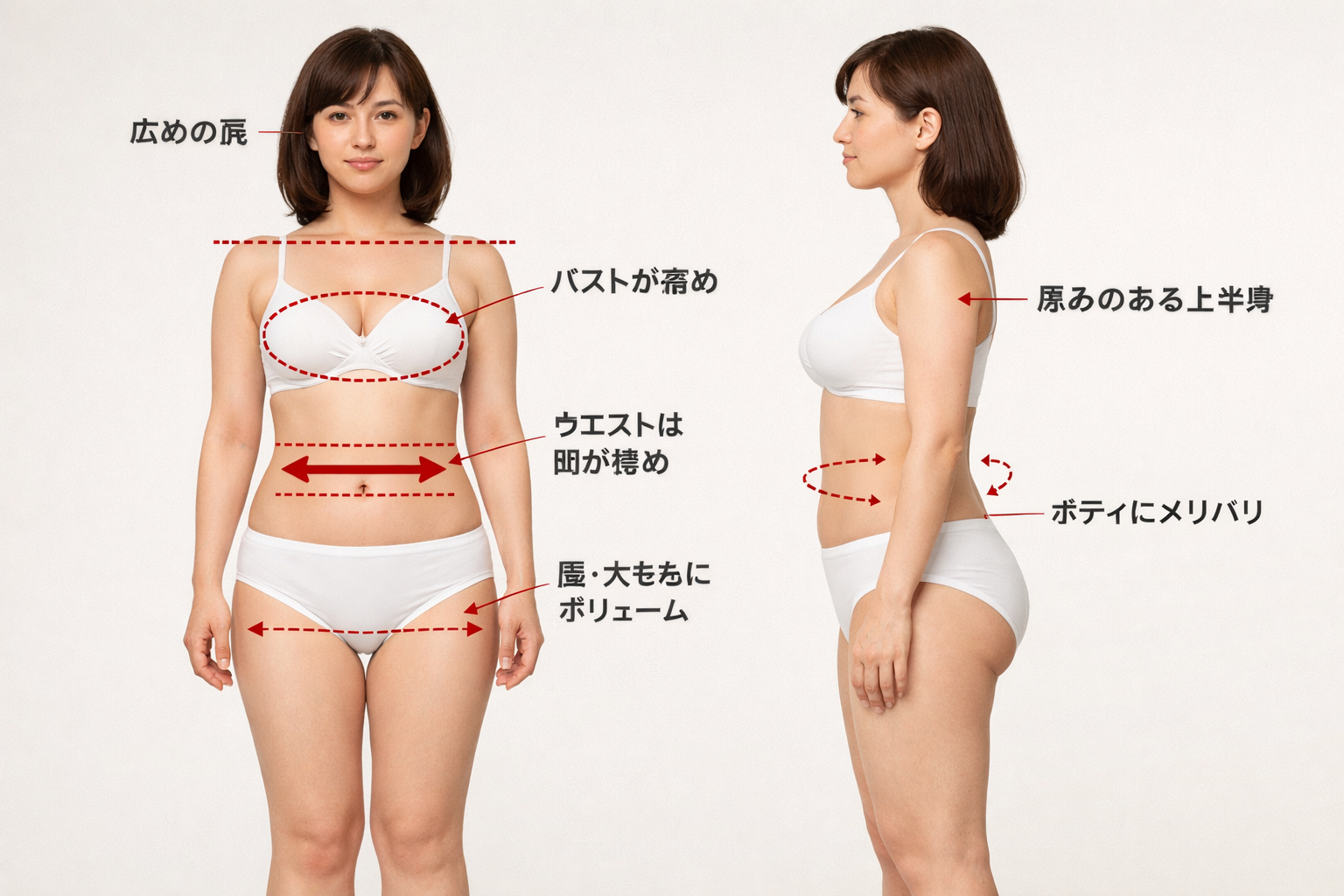 骨格ストレートの体型の特徴を示す図解